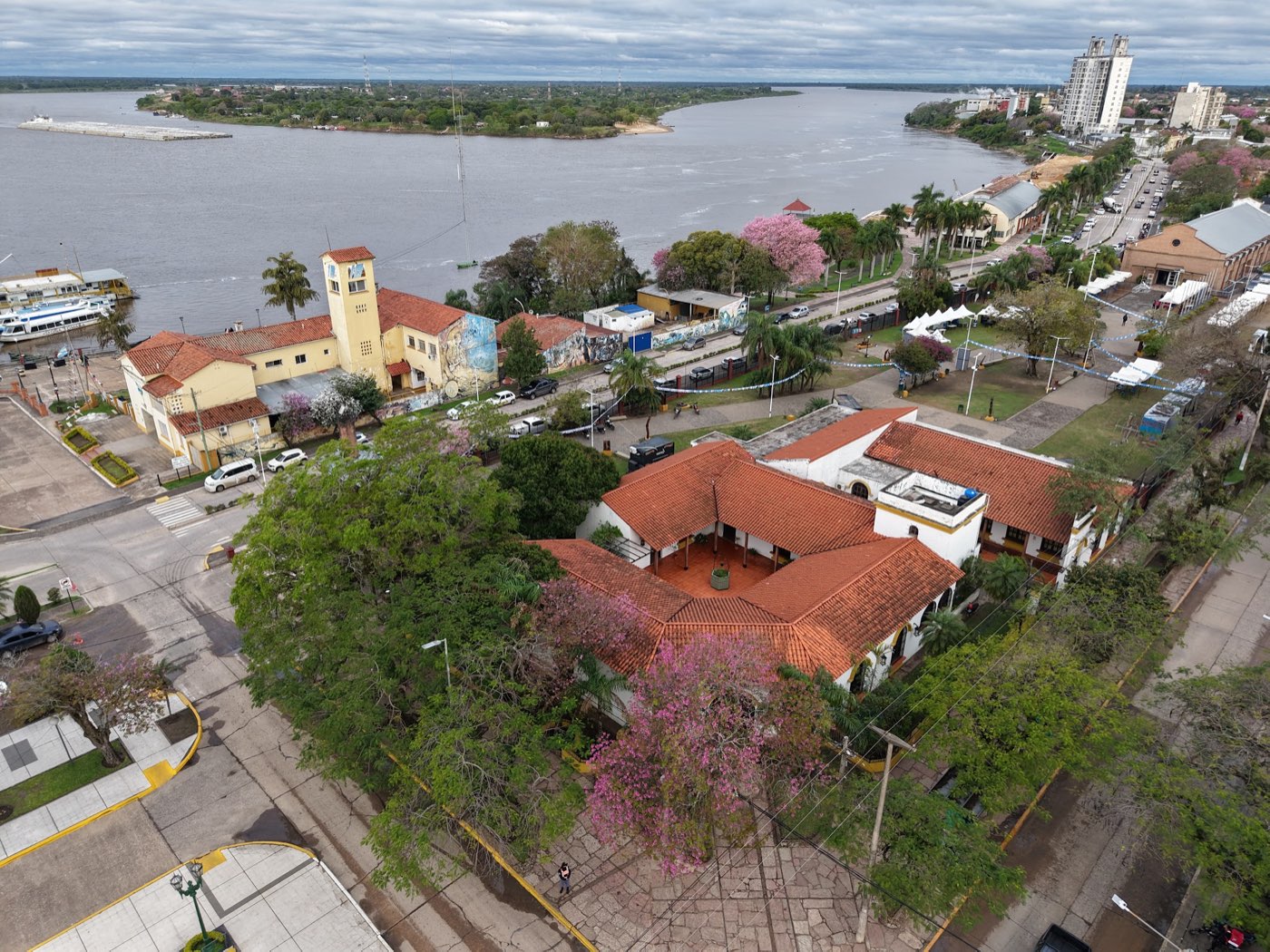 The Vuelta Fermoza riverfront area and the Paraguay River, with lapacho trees in bloom